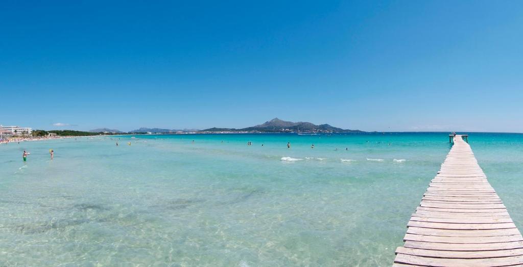 Eden Playa